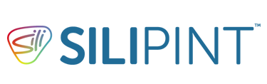 Logo Silipint®