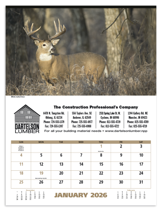 Spectacular animals in their own habitat are featured in this unique and engaging wildlife calendar