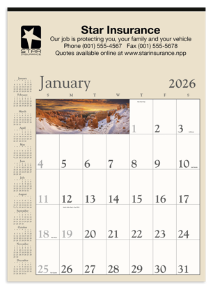 This calendar has large easy-to-read dates and gives you plenty of room for jotting appointments and planning projects
